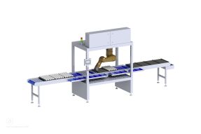 Dumpling packaging line